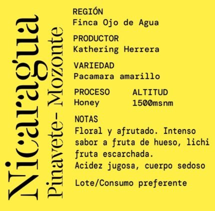 Nicaragua Pinavete Mozonte